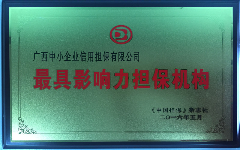 2016最具影響力擔保機構擔保人IMG_6885